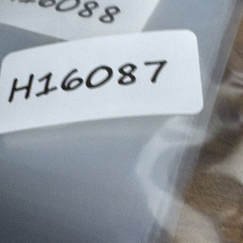 Michael Kors Frames M2409 Eyeglasses Frames Brown… - image 7